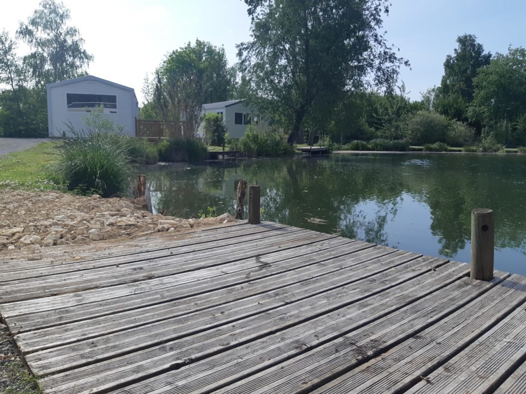 La Carpe au milieu de la zone locative près de l'étang